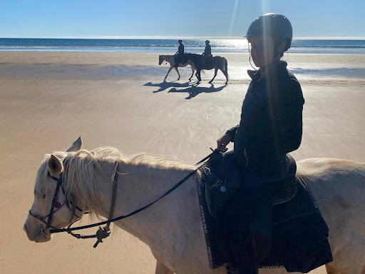 Photo from customer review