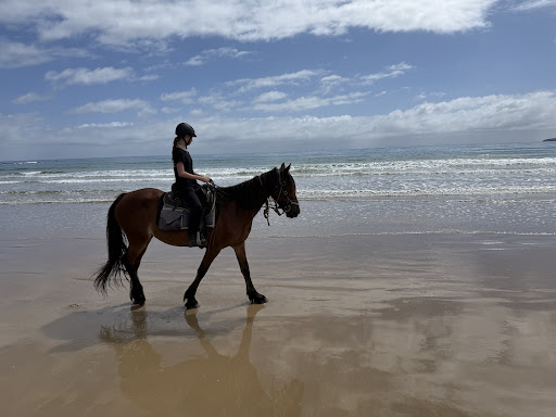 Photo from customer review