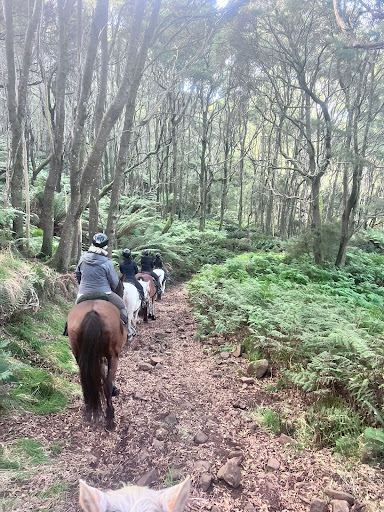 Photo from customer review