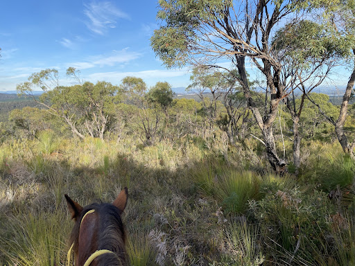 Photo from customer review